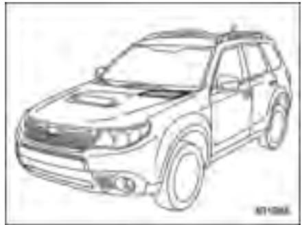 SUZUKI FORESTER - Nettoyage de la grille de prise d'air - 1
