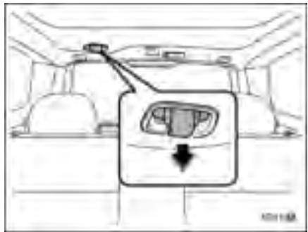 SUZUKI FORESTER - DANGER - 1