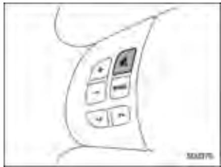 SUZUKI FORESTER - Touche MUTE - 1