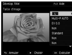 RICOH GR - Développement de fichiers RAW - 1