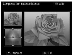 RICOH GR - Correction de la balance des blancs - 1