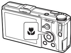 RICOH GR - Prise de vue en gros plan (mode macro) - 1