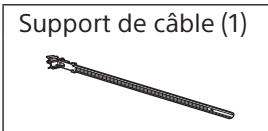 SONY KD-43XD8005,  KD-49XD8005,  KD49X8005,  KD55X8005 - Fournies avec le SU-WL450 - 1