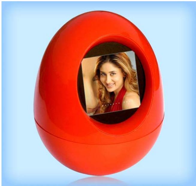 PROLINE PL-DPF150 EGG - 1