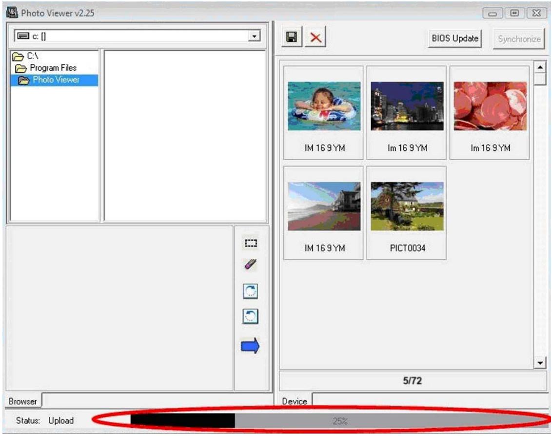 PROLINE PL-DPF150 EGG - Récupération de micrologiciels - 6