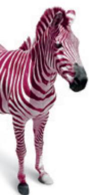 ELNA SEW ZEBRA - 1