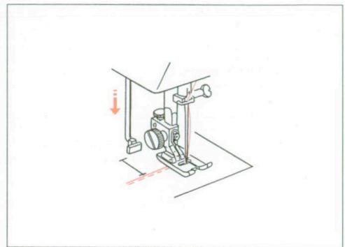 ELNA 3005 - MANUAL BUTTONHOLE - 5
