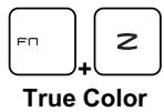 MSI GT72VR 7RD-499XFR DOMINATOR, GT72VR 7RE-487FR DOMINATOR PRO DRAGON EDITION - Application: True Color (en option) - 1