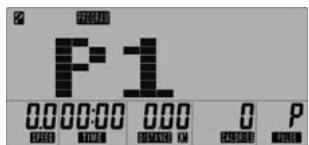 DECATHLON VM 660 - TRAINING BY PROGRAM: PROGRAM P1 - P6 - 1