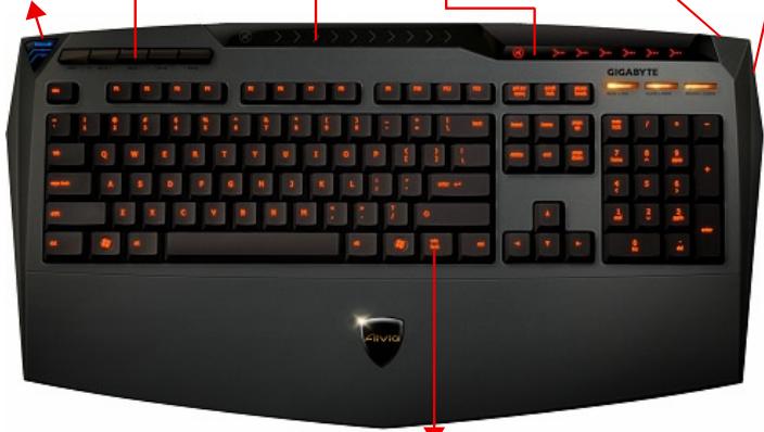 GIGABYTE AIVIA K8100 - Vue d'ensemble Clavier - 7