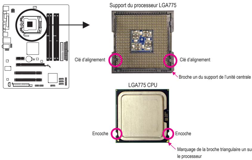 GIGABYTE GA-G41M-COMBO - 1-3-1 Installation du processeur - 1