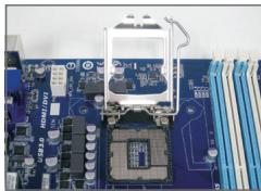 GIGABYTE GA-H87-HD3,  GA-H87M-D3H - Installieren einer Intel CPU (überspringen Sie diesen Schritt, wenn das Motherboard über einen eingebauten Prozessor verfügbar) - 1