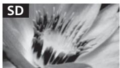 SONY KDL32WE610BAEP - Qualidade de imagem - 1