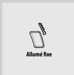 SAECO XSMALL HD8743 - Cycle de rincege manuel - 2