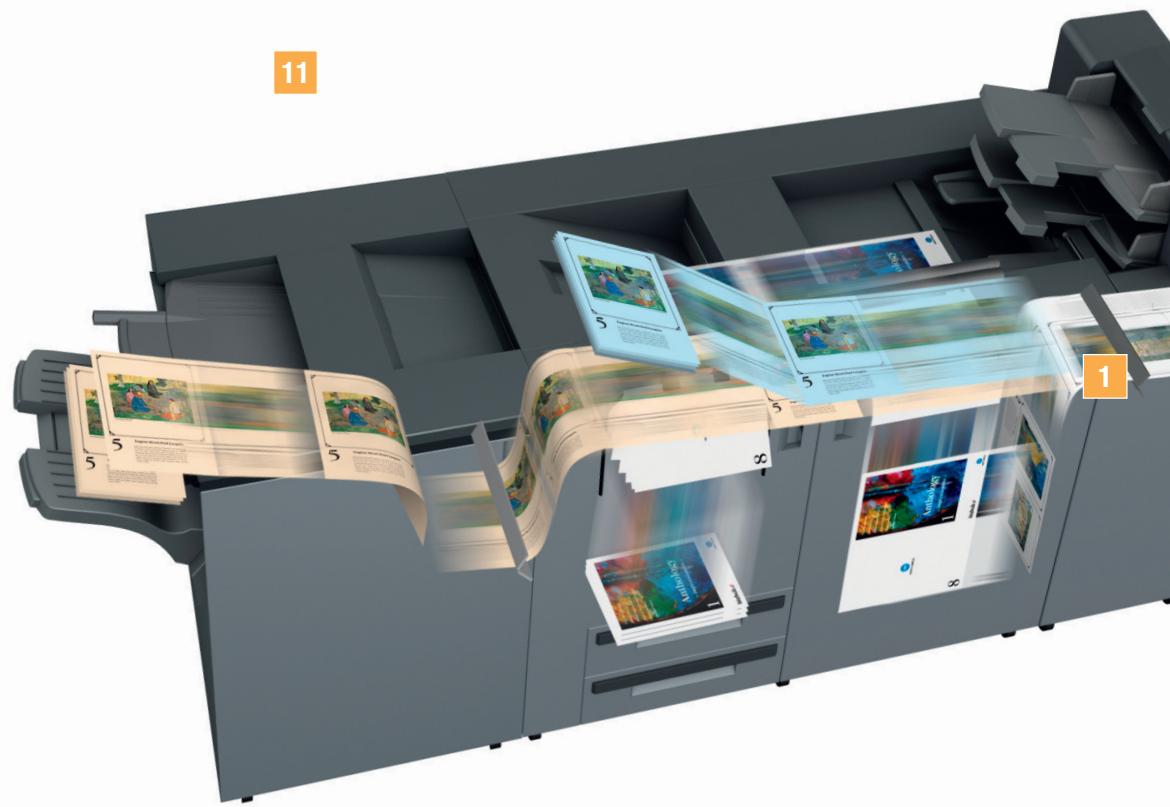 KONICA MINOLTA BUSINESS HUB PRESS C7000-P - L'éclat de la couleur… - 1