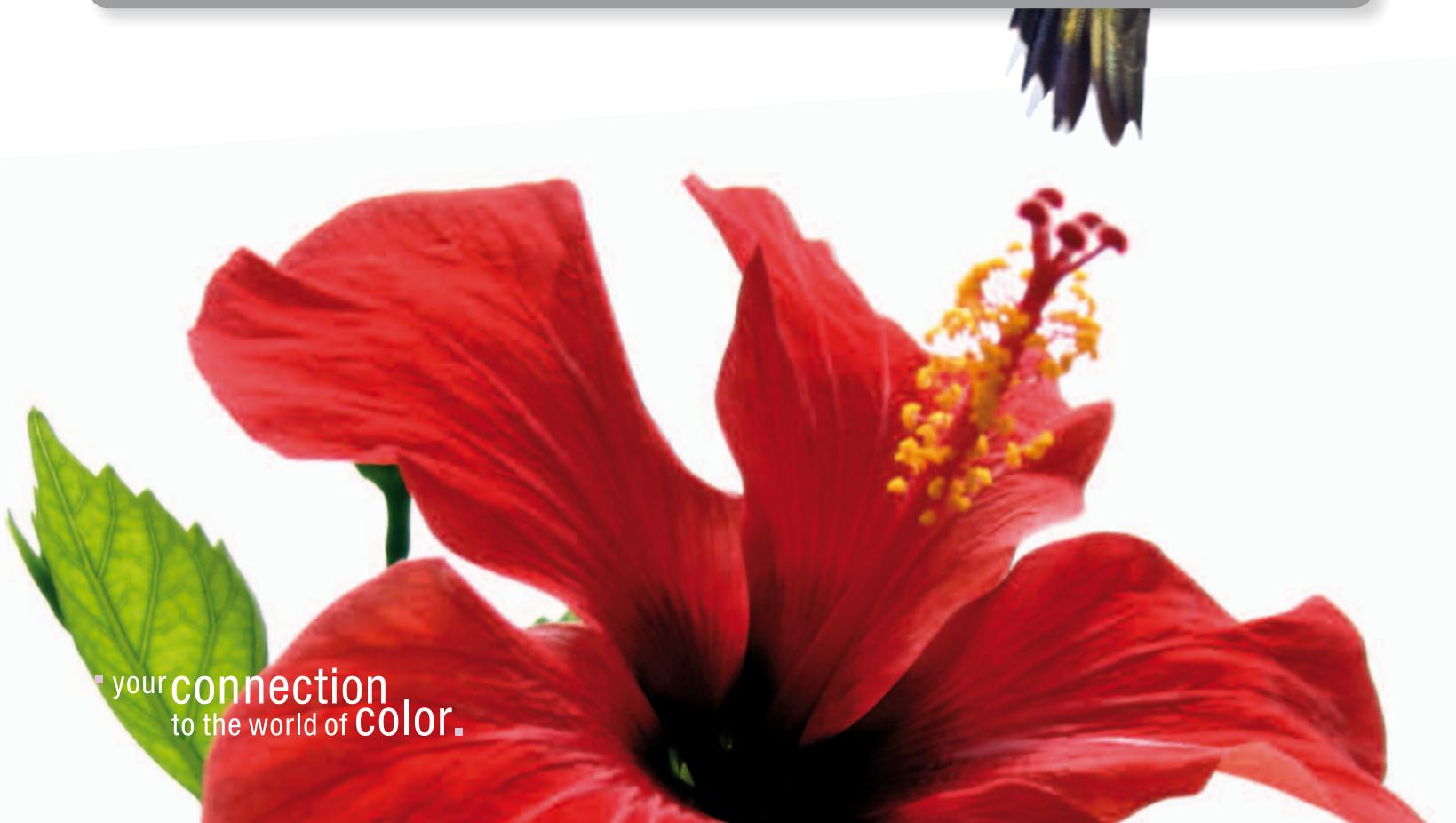KONICA MINOLTA COLIBRI ESSENTIALS - Enterprise Architecture - 1