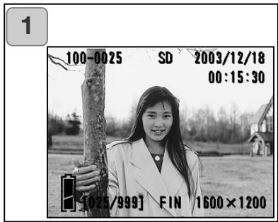 KONICA MINOLTA DIMAGE G500 - Reproducir imágenes ampliadas (Zoom Digital) - 1