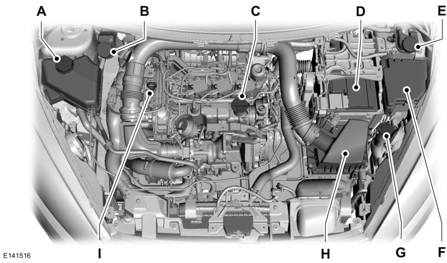 FORD FIESTA 2018 - VUE D'ENSEMBLE SOUS LE CAPOT - 1.0L ECOBOOST™ - 1