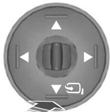 FORD KUGA 2011 - Rétroviseurs rabattables électriques - 1