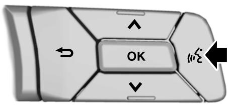 FORD MUSTANG 2018 - COMMANDE VOCALE (Selon - 1