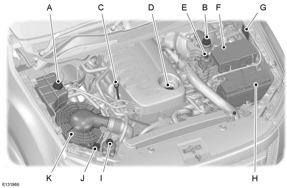 FORD RANGER 2012 - VUE D'ENSEMBLE SOUS LE CAPOT - 3.2L DURATORQ-TDCI (PUMA) DIESEL - 2