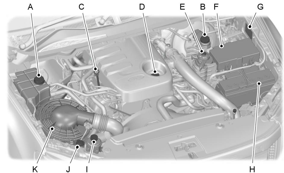 FORD RANGER 2012 - VUE D'ENSEMBLE SOUS LE CAPOT - 2.2L DURATORQ-TDCI (PUMA) DIESEL - 2