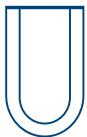 STRONG SRT ANT 12 ECO - CONTENU DE LA BOITE - 2