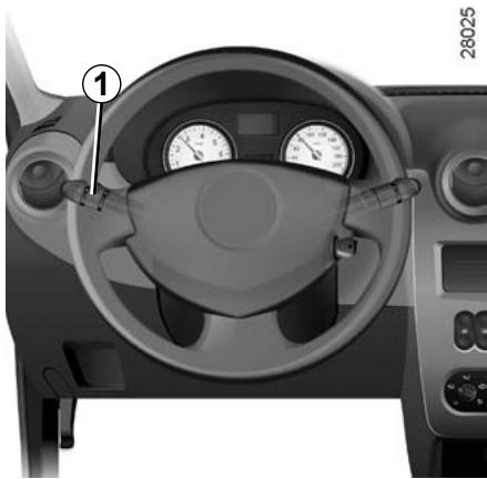DACIA SANDERO 2010 - ПРИБОРы HAPУЖHOrO OCBELSEнЯ И CYNHJIIN3AциN - 1