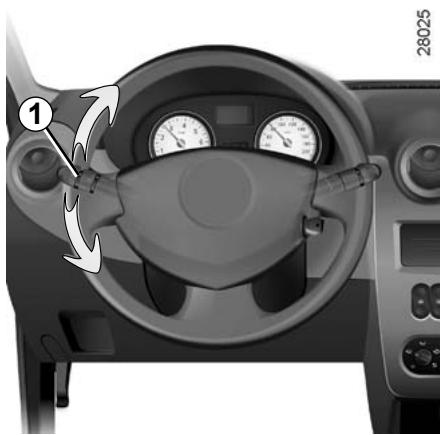 DACIA SANDERO 2010 - Abarinna CnHann3aun - 1