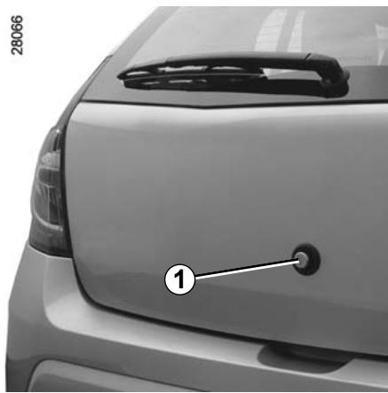 DACIA SANDERO 2010 - БАГЖHОЕ OTДЕЛЕнUE/ПЕРБОЗКA ПРЕДМETOB B БАГЖHOM OTДЕЛЕнИ - 1