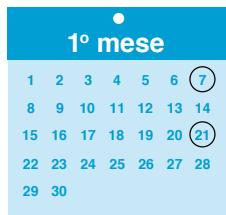 BRAUN IPL VENUS NAKED SKIN BY - Fase iniziale - 1