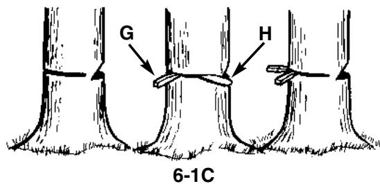 MCCULLOCH EBC1840DK - AVERTISSEMENT - 3