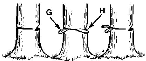 MCCULLOCH EBC1840DK - ADVERTENCIA - 3