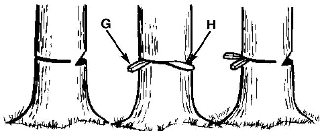MCCULLOCH EBC1840DK - WARNING - 3