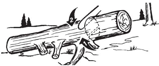 MCCULLOCH MCC4516FC - 5-3. TRONCONNAGE - 2