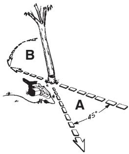 MCCULLOCH MCC4516FC - AVERTISSEMENT - 1