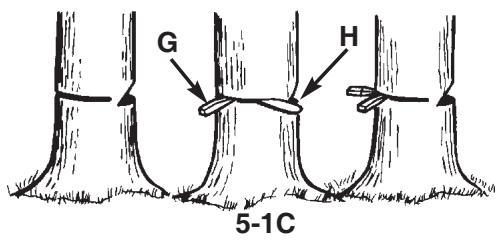 MCCULLOCH MCC4516FC - ADVERTENCIA - 3