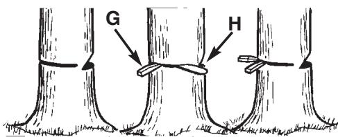 MCCULLOCH MCC4516FC - AVERTISSEMENT - 3