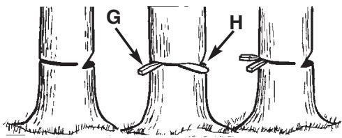 MCCULLOCH MCC4516FC - WARNING - 3