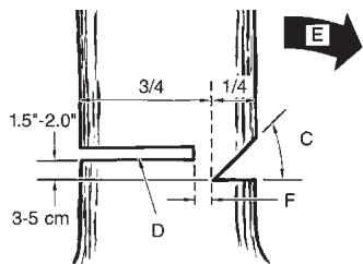MCCULLOCH MCC4516FC - ADVERTENCIA - 2
