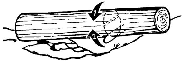 MCCULLOCH MCC4516FC - 5-3. LENADO - 3