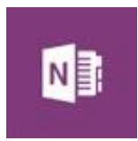 MICROSOFT SURFACE PRO 4 - OneNote - 1