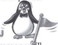 RAVENSBURGER SALUT LES PINGOUINS - BUT DU JEU - 1