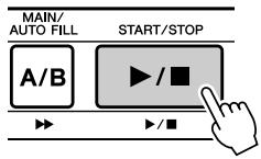 SONY DGX205 - Appuyez sur la touche [START/STOP]. - 1