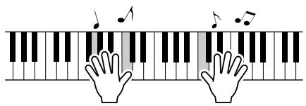SONY DGX205 - One Touch Setting - 2
