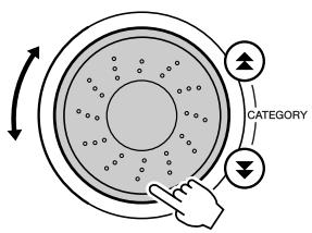 CATEGORY