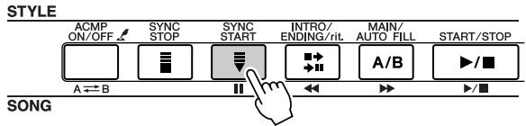 STYLE ACMP ON/OFF SYNC STOP SYNC START INTRO/ ENDING/rit. MAIN/ AUTO FILL START/STOP A ⇌ B SONG A/B ▶/■