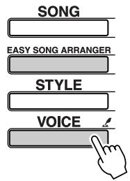 SONG EASY SONG ARRANGER STYLE VOICE