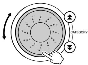 CATEGORY