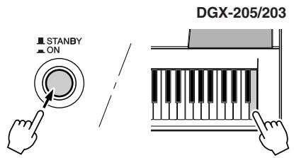 STANBY ON DGX-205/203